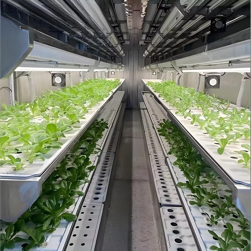 Système de culture vertical in - Urban Farming Hydroponic System avis et prix