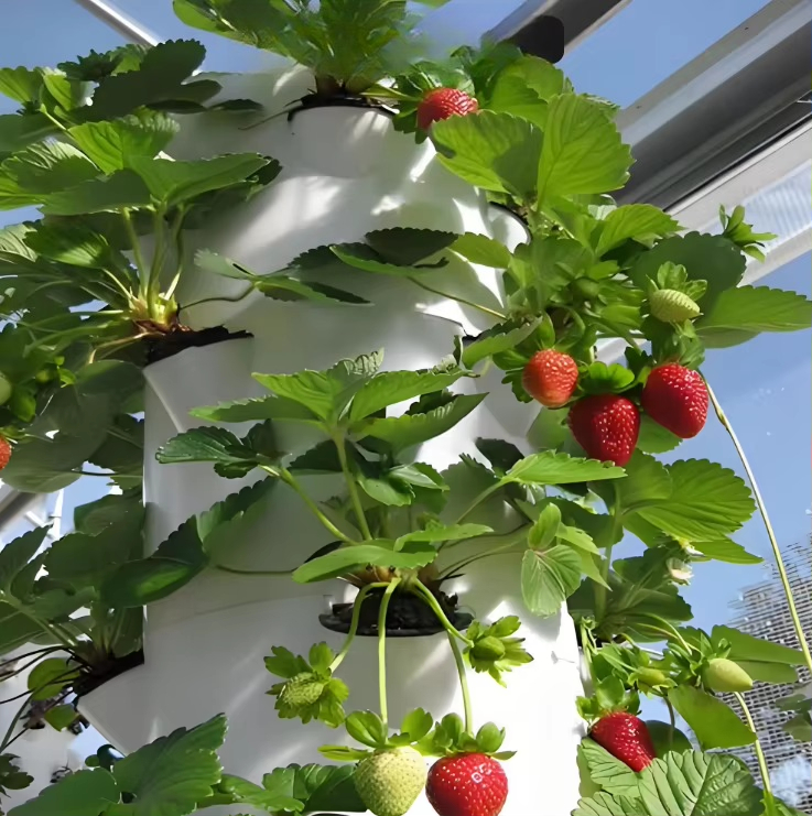 Système mural hydroponique mod - Urban Farming Hydroponic System avis et prix
