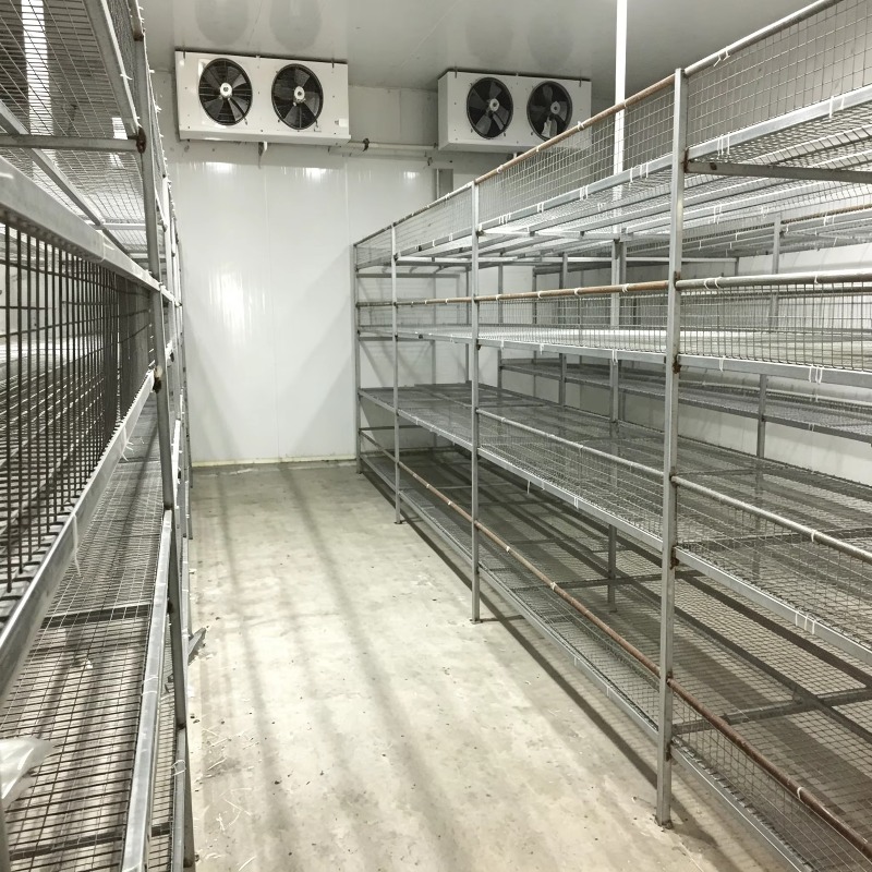 Ferme hydroponique en conteneu - Urban Farming Hydroponic System avis et prix