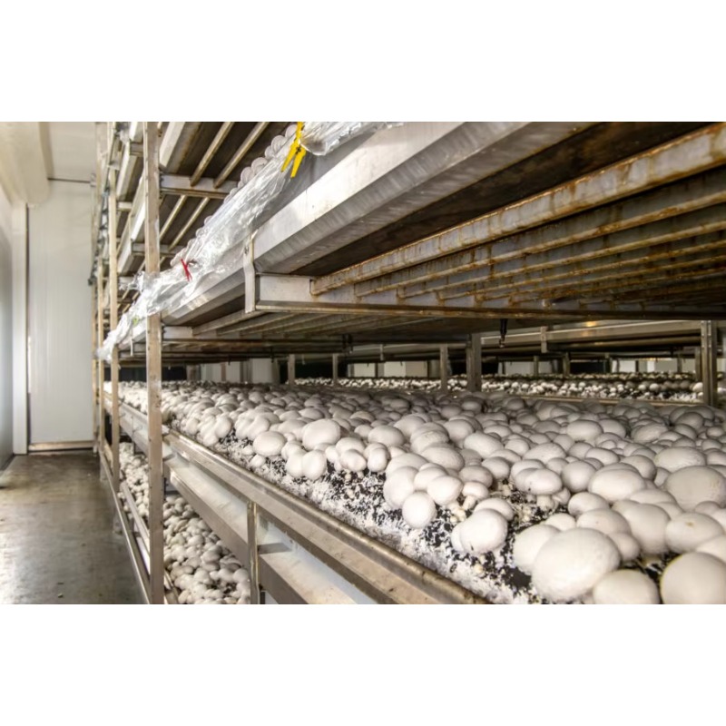 Ferme hydroponique en conteneu - Urban Farming Hydroponic System avis et prix