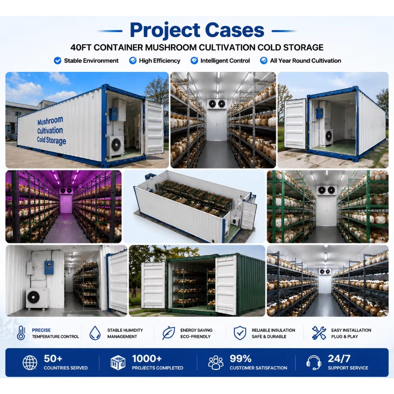 Ferme hydroponique en conteneu - Urban Farming Hydroponic System avis et prix